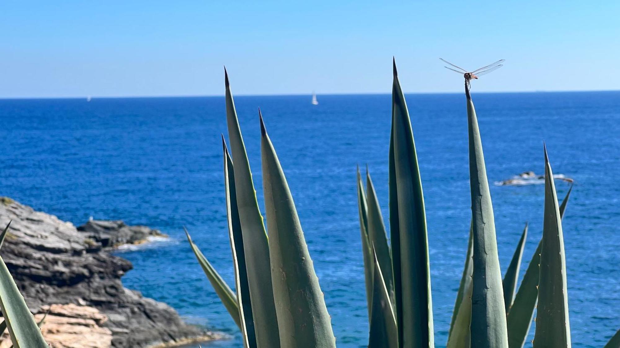 Turquesa Del Mar - Sun & Beach & Golf & Bike - Large Terrace Ground-Floor Spanish Apartment Dehesa de Campoamor  Buitenkant foto
